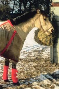 2020 Weekly Planner Horse Photo Equine Blanketed Horse Winter 134 Pages