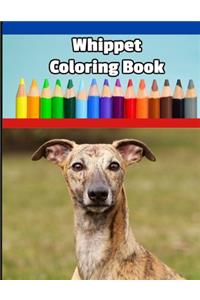 Whippet Coloring Book