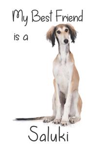 My best Friend is a Saluki