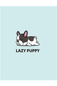 Laza puppy