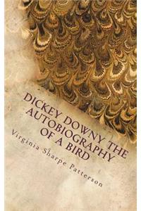 Dickey Downy The Autobiography of a Bird