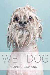 Wet Dog