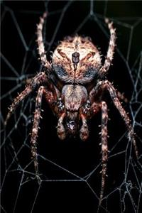 Spider Notebook