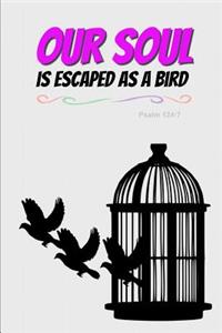 Our Soul Is Escaped as a Bird