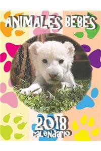 Animales Bebés 2018 Calendario (Edición España)