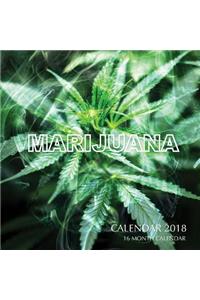 Marijuana Calendar 2018: 16 Month Calendar