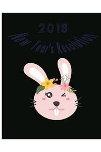 2018 New Year's Resolution