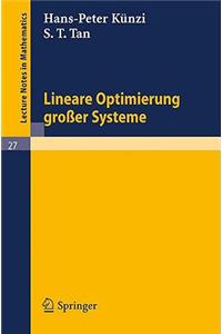 Lineare Optimierung Großer Systeme