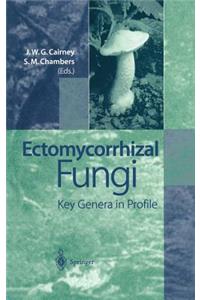 Ectomycorrhizal Fungi