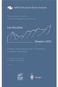 Aspects Topologiques de la Physique En Basse Dimension. Topological Aspects of Low Dimensional Systems