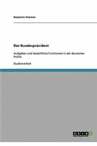 Bundespräsident. Aufgaben und tatsächliche Funktionen in der deutschen Politik