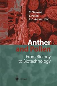 Anther and Pollen