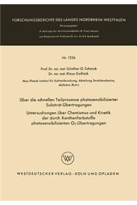 Über die schnellen Teilprozesse photosensibilisierter Substrat-Übertragungen