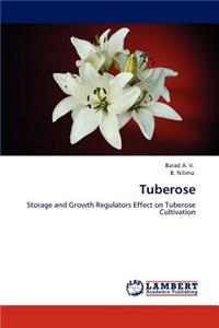 Tuberose