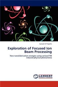 Exploration of Focused Ion Beam Processing