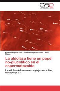 La Aldolasa Tiene Un Papel No-Glucolitico En El Espermatozoide