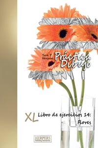 Práctica Dibujo - XL Libro de ejercicios 14