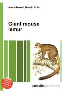 Giant Mouse Lemur