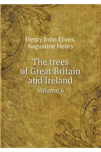 The Trees of Great Britain and Ireland Volume 6