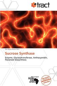 Sucrose Synthase