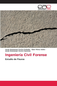 Ingeniería Civil Forense