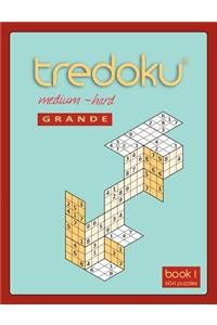 Tredoku Medium Hard Grande Book 1