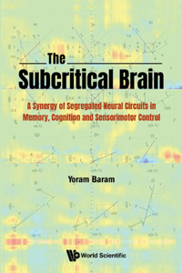 Subcritical Brain, The: A Synergy of Segregated Neural Circuits in Memory, Cognition and Sensorimotor Control