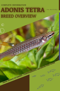 Adonis Tetra