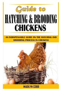 Guide to Hatching and Brooding Chickens