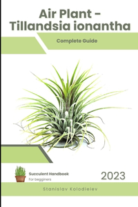 Air Plant - Tillandsia ionantha: Succulent Handbook: Complete Guide to Growing Succulent Plant