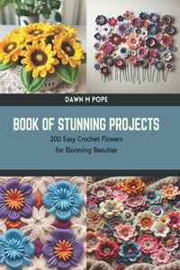 Book of Stunning Projects