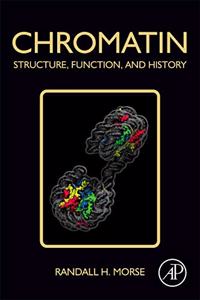 Chromatin