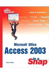 Microsoft Office Access 2003 in a Snap
