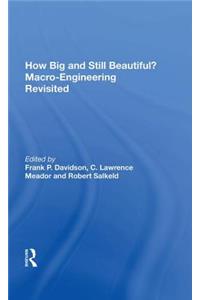 How Big and Still Beautiful? Macro-Engineering Revisited