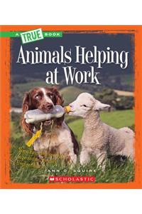 Animals Helping at Work (a True Book: Animal Helpers) (Library Edition)