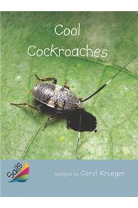 Cool Cockroaches