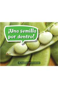 Book 030: ¡Una Semilla Por Dentro!