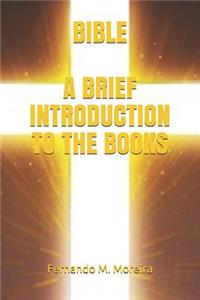 Bible a Brief Introduction to the Books