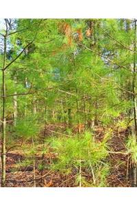 Spring Pine Forest School Composition Book