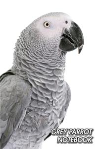 Grey Parrot Notebook