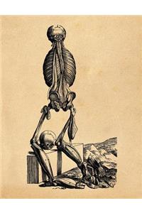 Anatomy Notebook