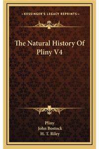 The Natural History Of Pliny V4