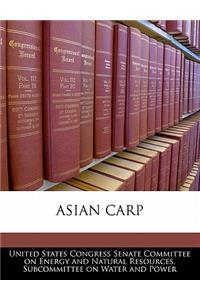 Asian Carp