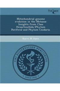 Mitochondrial Genome Evolution in the Metazoa: Insights from Class Hexactinellida (Phylum Porifera) and Phylum Cnidaria