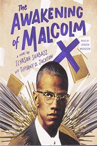 The Awakening of Malcolm X