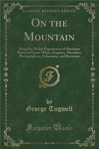 On the Mountain: Being the Welsh Experiences of Abraham Black and Jonas White, Esquires, Moralists, Photographers, Fishermen, and Botanists (Classic Reprint)
