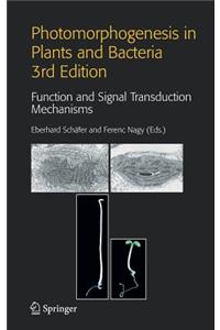 Photomorphogenesis in Plants and Bacteria