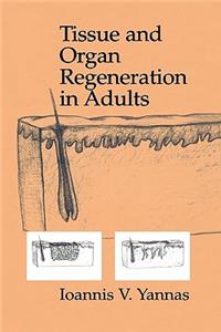 Tissue and Organ Regeneration in Adults