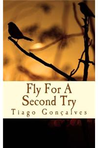 Fly for a Second Try