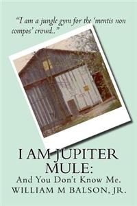 I am Jupiter Mule